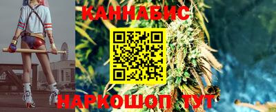 сатива Бузулук