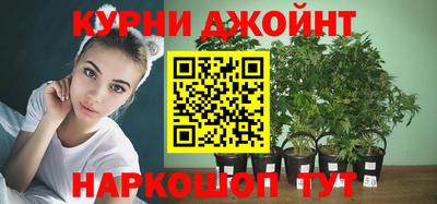 ПСИЛОЦИБИНОВЫЕ ГРИБЫ Будённовск