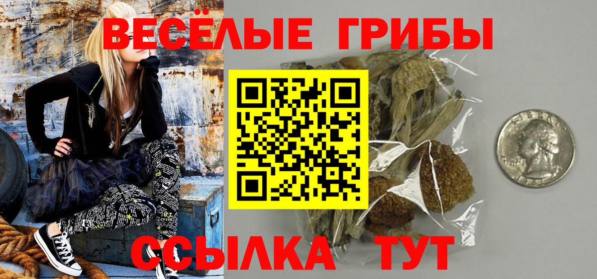 магазин продажи наркотиков  Вход с VPN  Ликино-Дулёво  Галлюциногенные грибы мухоморы  Псилоцибиновые грибы прущие грибы 