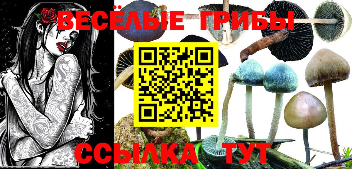 Псилоцибиновые грибы MAGIC MUSHROOMS Ликино-Дулёво
